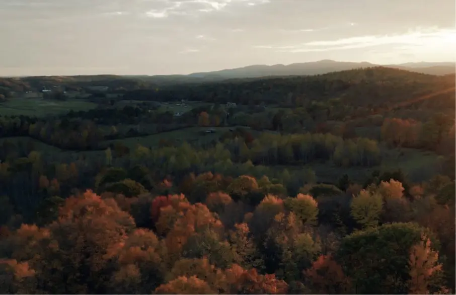 Aerial view of a fall landscape
