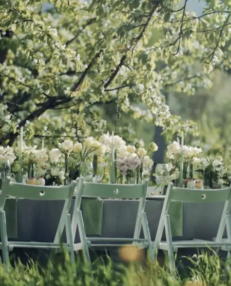 Table set up for an outdoor dining event under a tree