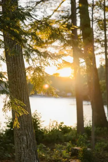 Sunlight through pines by Lake Winnisquam shore estate.